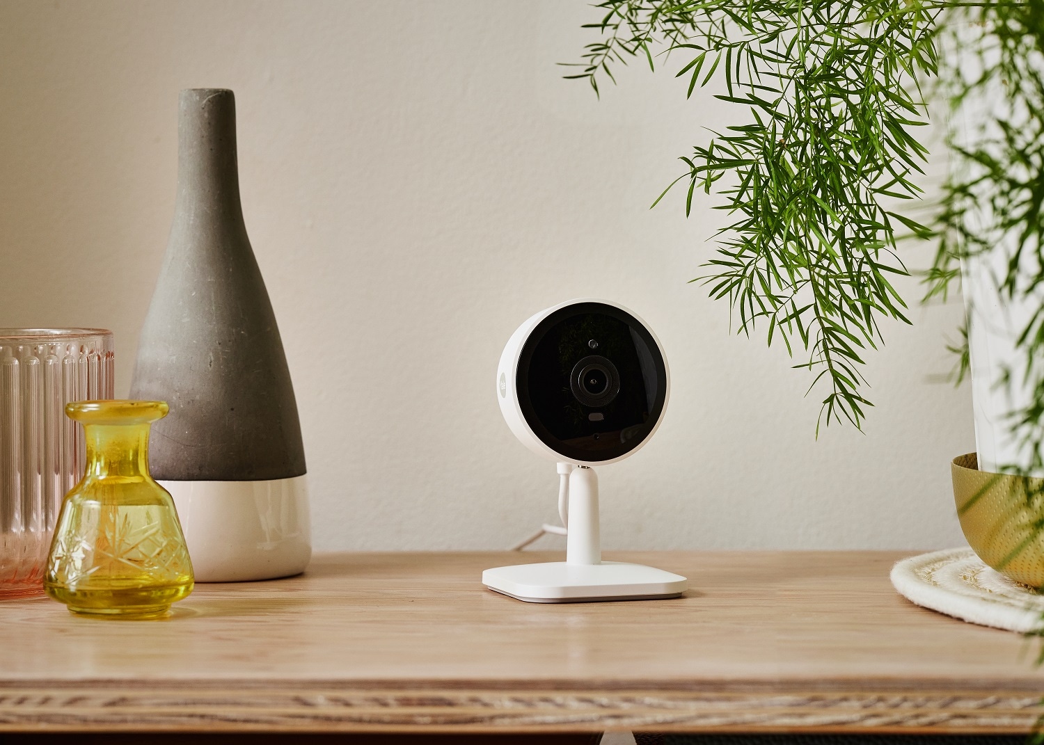 Indoor Security Cameras