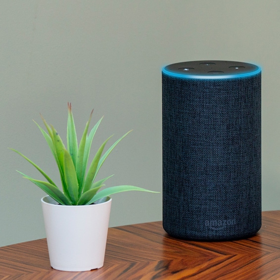 An Amazon Alexa on a table