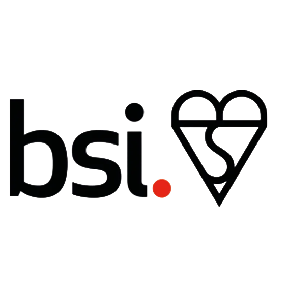 BSI Logo